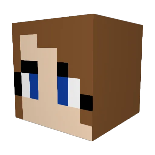 bubblybrownie19 Minecraft avatar head, 3D render