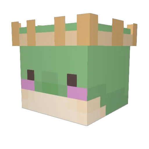 bubblyfishbro Minecraft avatar head, 3D render