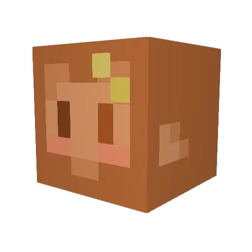 bubblygyu Minecraft avatar head, 3D render