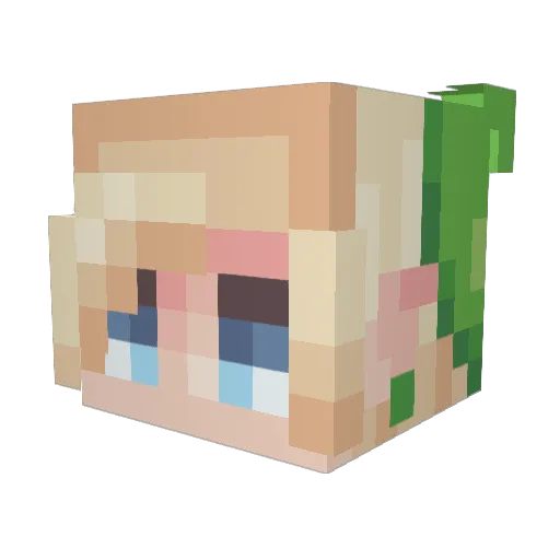 bubbolee Minecraft avatar head, 3D render