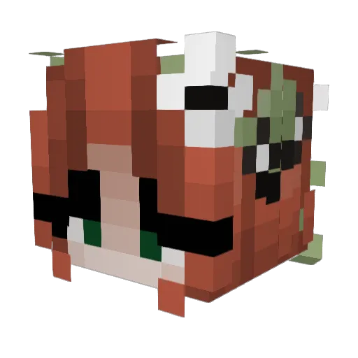 bubbyrose19 Minecraft avatar head, 3D render