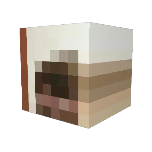 bubekken Minecraft avatar head, 3D render