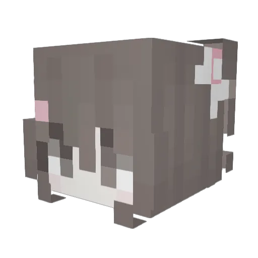 bubely Minecraft avatar head, 3D render