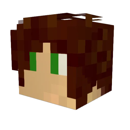 bubigrin Minecraft avatar head, 3D render