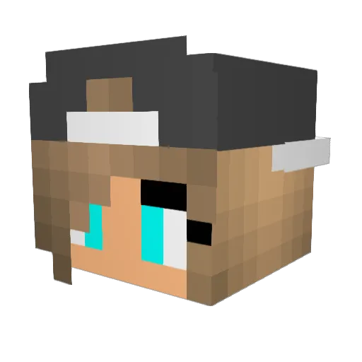 bubsaboy Minecraft avatar head, 3D render