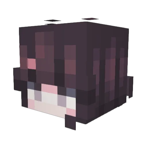 bubson23 Minecraft avatar head, 3D render