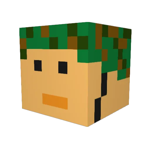 bubson3102 Minecraft avatar head, 3D render