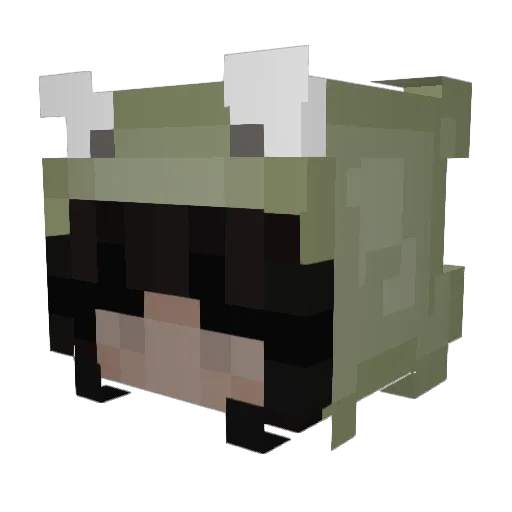 bububblezz Minecraft avatar head, 3D render