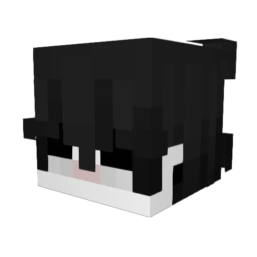 buchu24 Minecraft avatar head, 3D render
