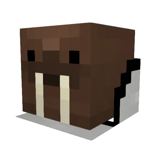 buck620 Minecraft avatar head, 3D render