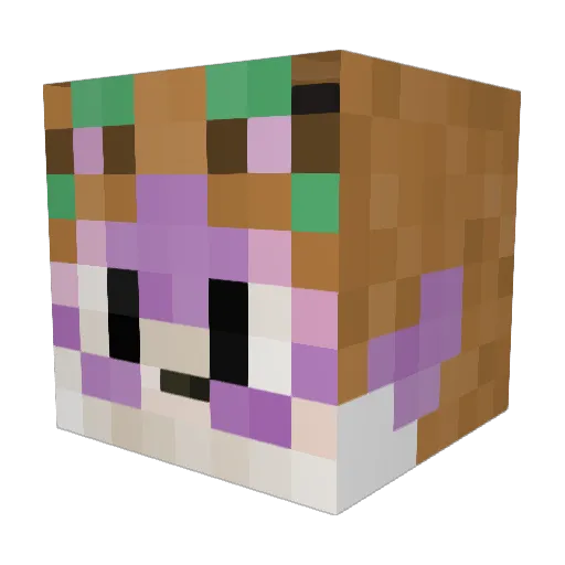 buckaboo3 Minecraft avatar head, 3D render