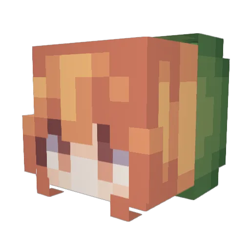 bucket1138 Minecraft avatar head, 3D render