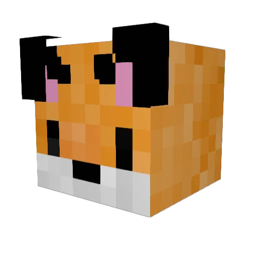 bucketly Minecraft avatar head, 3D render