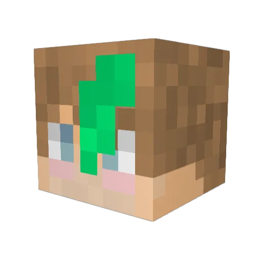 bucketofjug Minecraft avatar head, 3D render