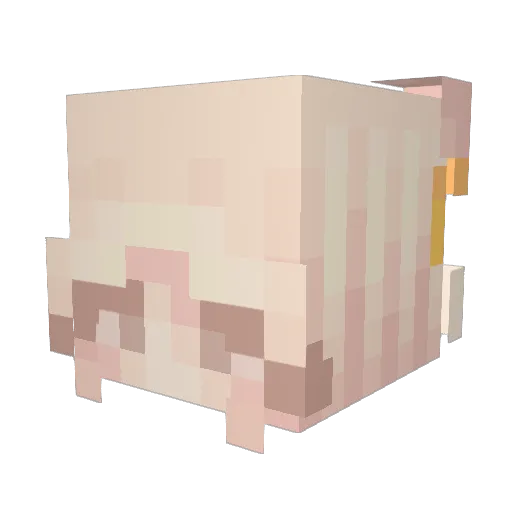 buckeye0803 Minecraft avatar head, 3D render