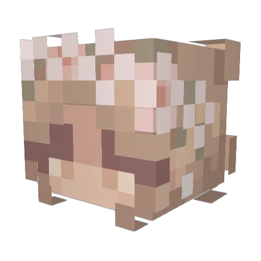 buddhabuilder Minecraft avatar head, 3D render