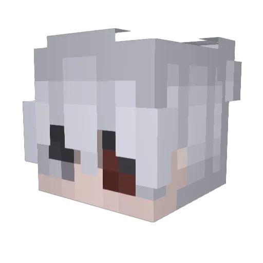 buddog07 Minecraft avatar head, 3D render