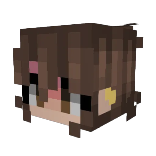 buddybuddy15 Minecraft avatar head, 3D render