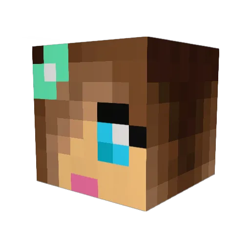 buddyfunny9 Minecraft avatar head, 3D render