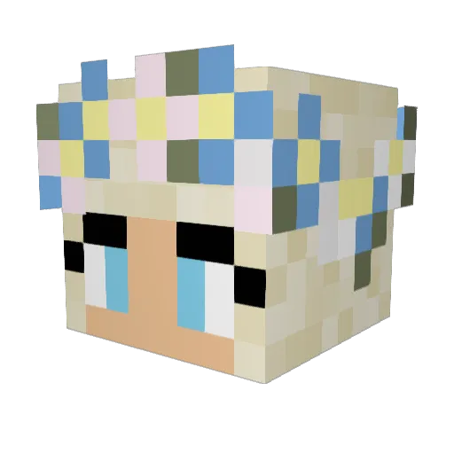 buddykungen Minecraft avatar head, 3D render