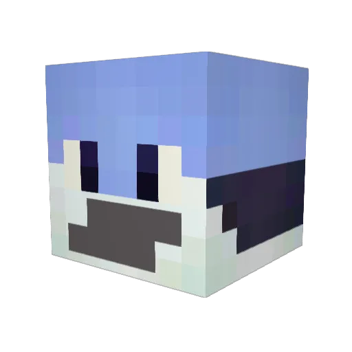 budgessr Minecraft avatar head, 3D render