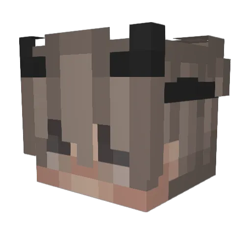 budsong Minecraft avatar head, 3D render