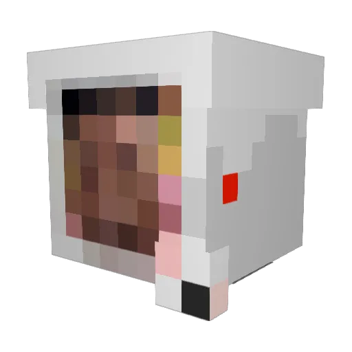 budushiybog Minecraft avatar head, 3D render