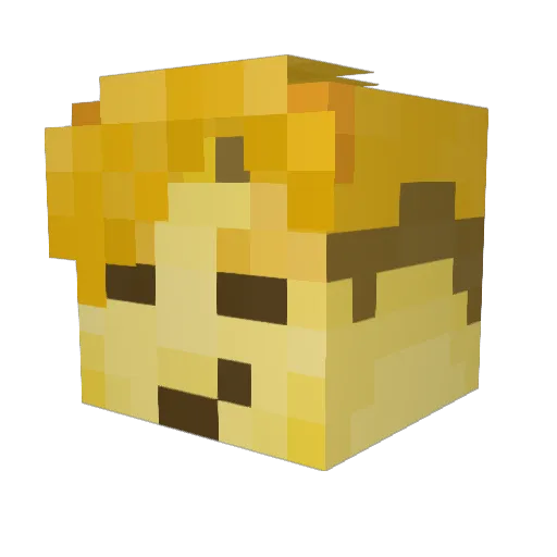buffalo_james Minecraft avatar head, 3D render