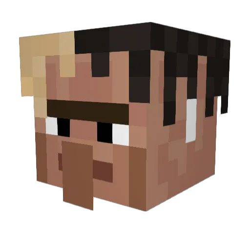 buffalopigeon Minecraft avatar head, 3D render
