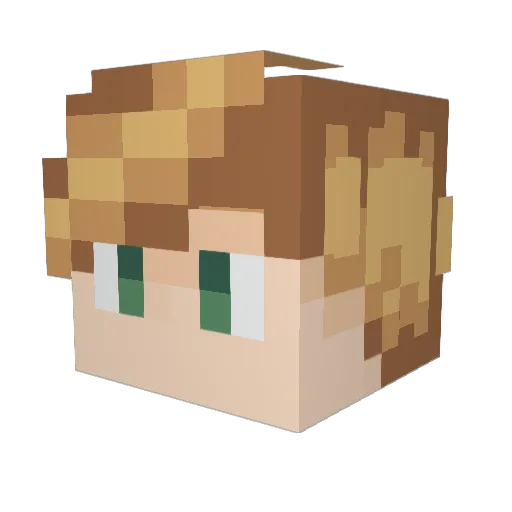 buffalowings42 Minecraft avatar head, 3D render