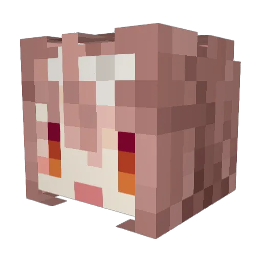 bugaboo56 Minecraft avatar head, 3D render