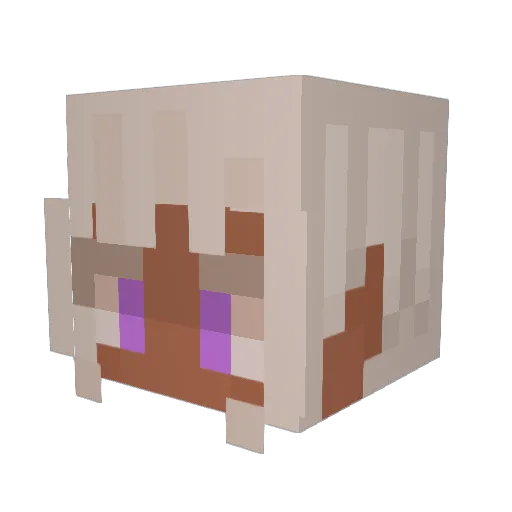 bugbug420 Minecraft avatar head, 3D render