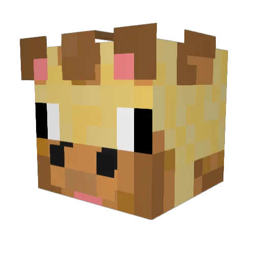 bugbugBG Minecraft avatar head, 3D render