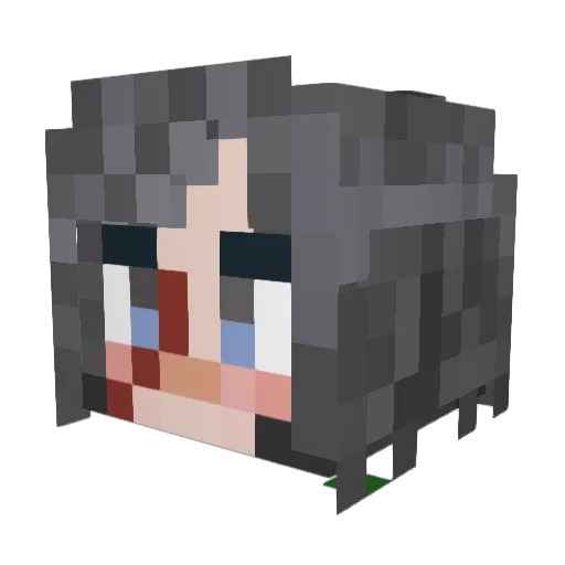 bugburrito Minecraft avatar head, 3D render