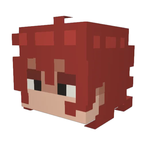 bugcatchersam Minecraft avatar head, 3D render