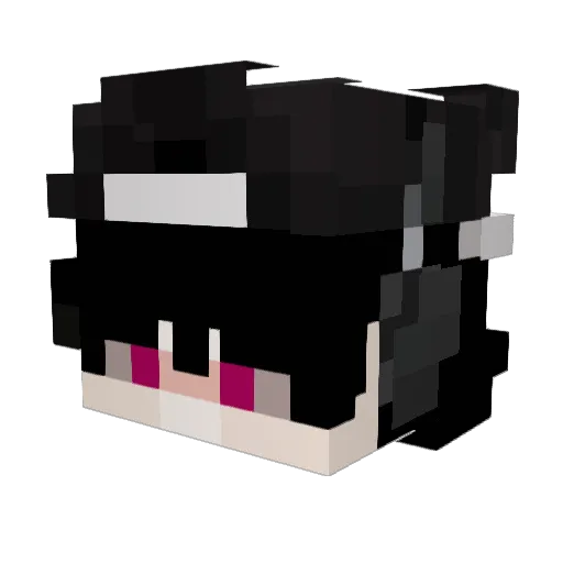 bugdubious Minecraft avatar head, 3D render