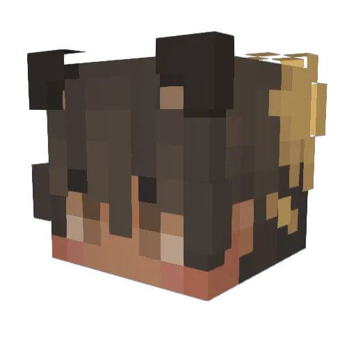 bugfrappe Minecraft avatar head, 3D render