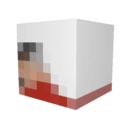 bugfuneral Minecraft avatar head, 3D render
