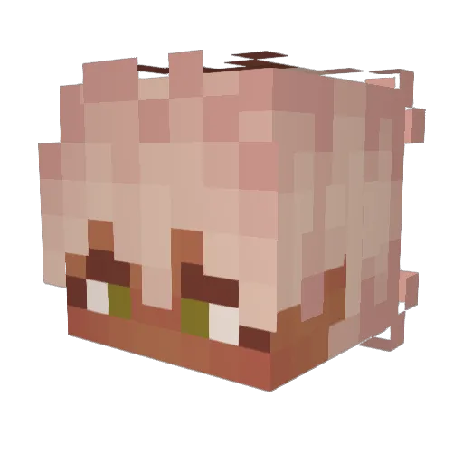 bugg_bones Minecraft avatar head, 3D render