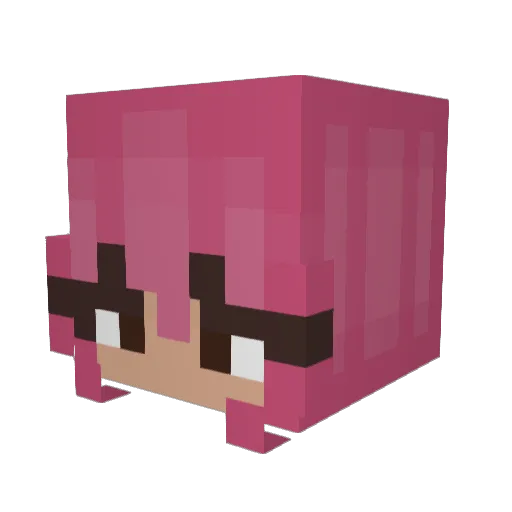 bugg_soup Minecraft avatar head, 3D render