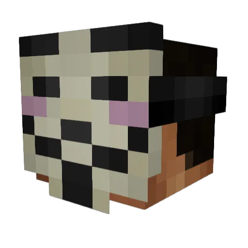 buggle47 Minecraft avatar head, 3D render