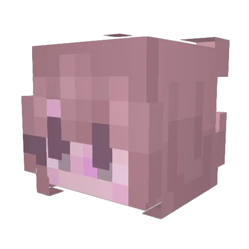 buggobrrr2 Minecraft avatar head, 3D render