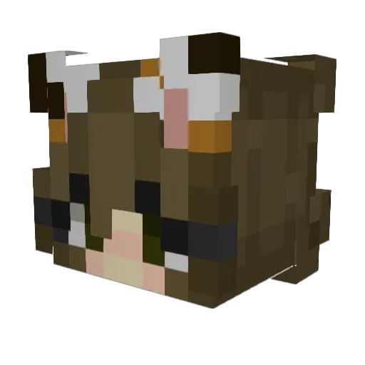 buggshroom Minecraft avatar head, 3D render