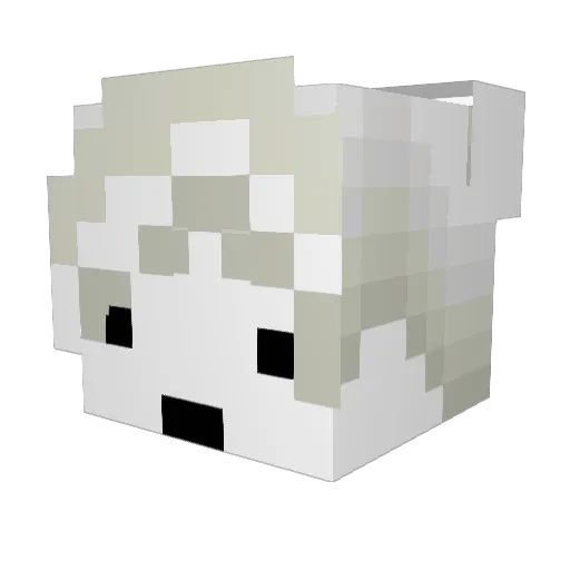 bugguito_ Minecraft avatar head, 3D render
