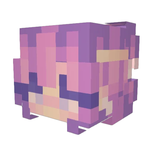 buggy1520 Minecraft avatar head, 3D render