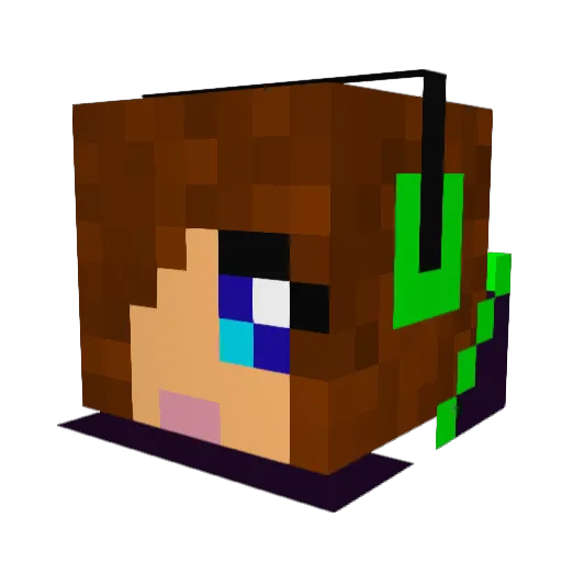 buggy2112 Minecraft avatar head, 3D render