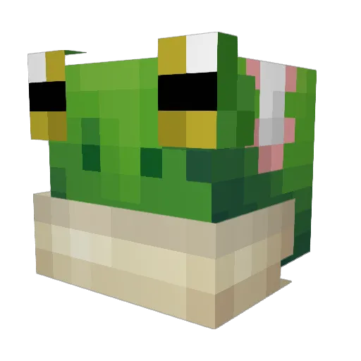 buggybelch Minecraft avatar head, 3D render