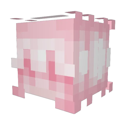 buggyboo1228 Minecraft avatar head, 3D render