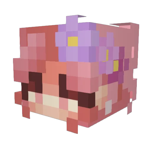 bughusk Minecraft avatar head, 3D render