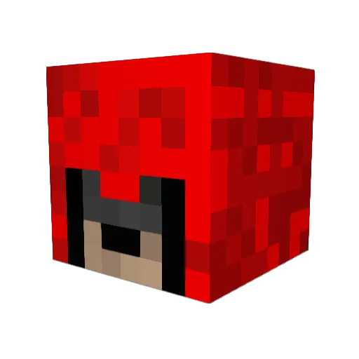 bugman573 Minecraft avatar head, 3D render